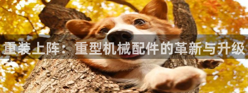 富联娱乐官方网站下载手机版