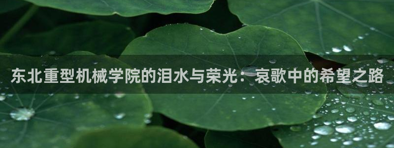富联娱乐主管那去判官333OO