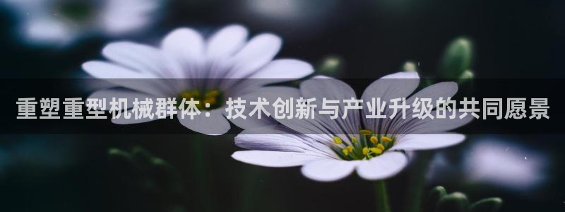 富联娱乐招商前原判官333OO