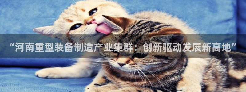 富联娱乐元哥简介图片