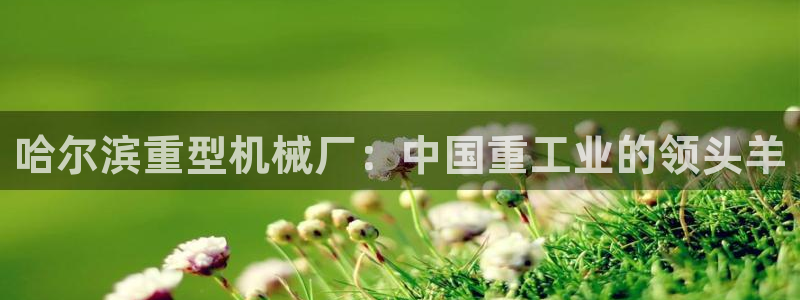 富联娱乐招商统判官333OO