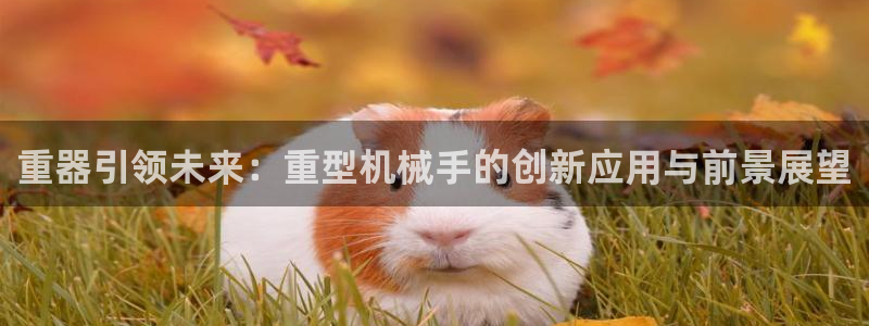 富联2娱乐查判官333OO