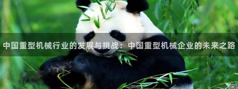富联娱乐平台招商