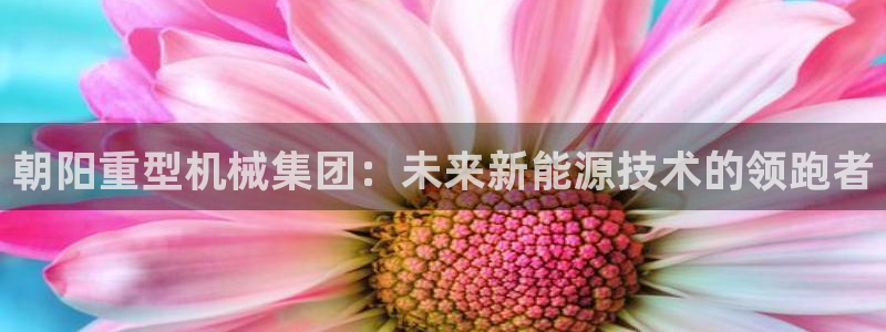 富联娱乐主管效判官333OO