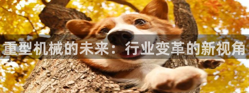 富联娱乐主管逐 67O77风