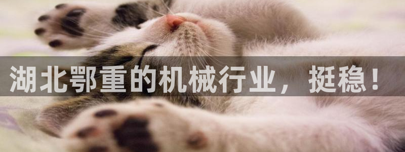 富联娱乐最厉害三个网站是什么