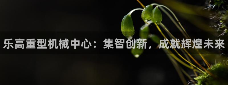 富联娱乐卜67OO6