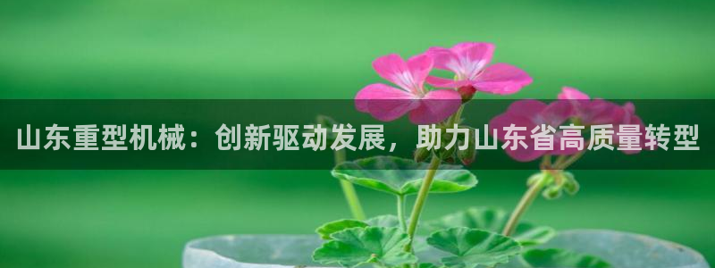 富联娱乐女团是谁的公司