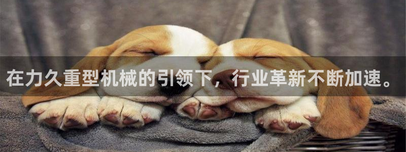 富联娱乐官网入口app