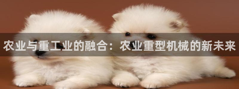 富联娱乐忘记账号怎么办