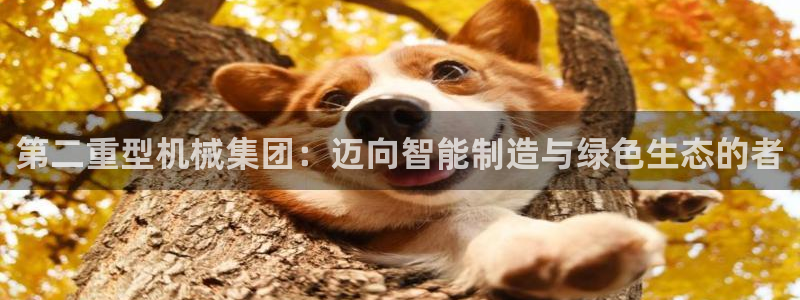 富联娱乐女团是谁的女儿