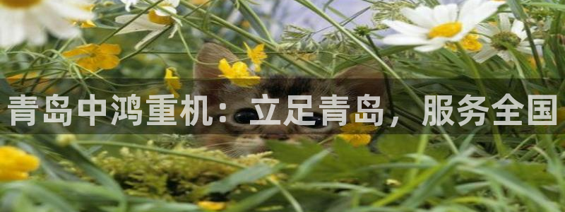 富联娱乐招商会判官333OO