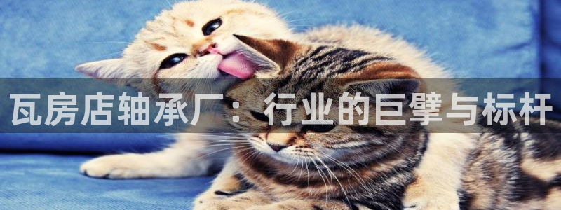 富联2娱乐贴吧官网首页