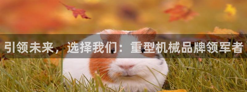 富联娱乐元哥简介图片