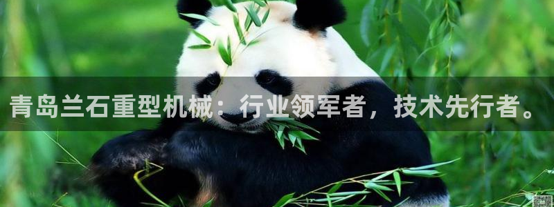 富联娱乐招商命判官333OO