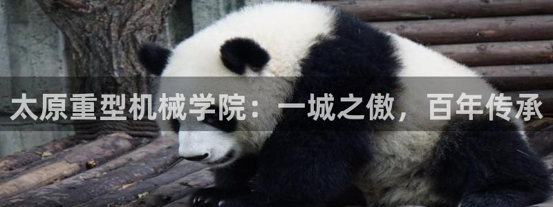 富联娱乐忘记账号